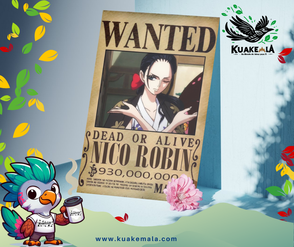 Combo  Posters Metalicos One Peace