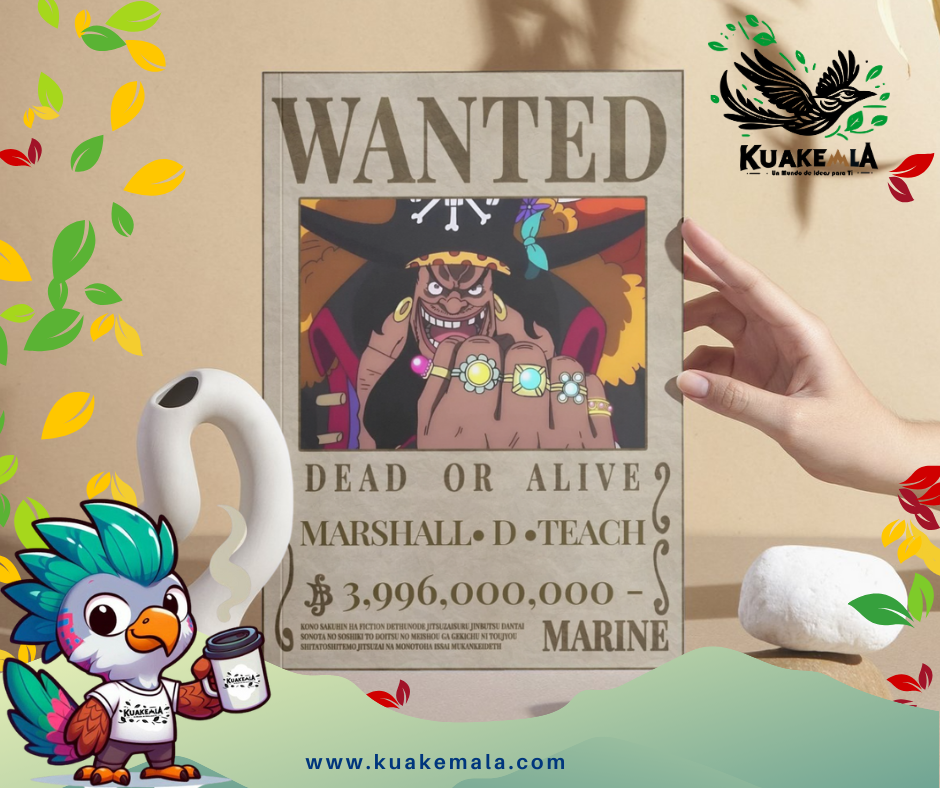 Combo  Posters Metalicos One Peace