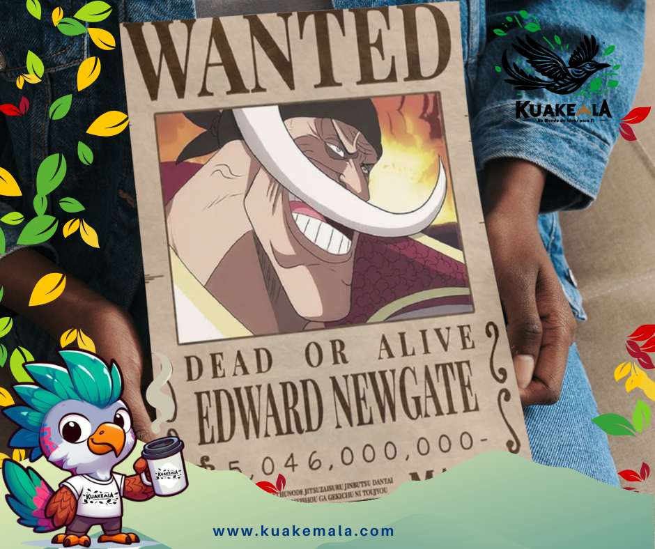 Combo  Posters Metalicos One Peace