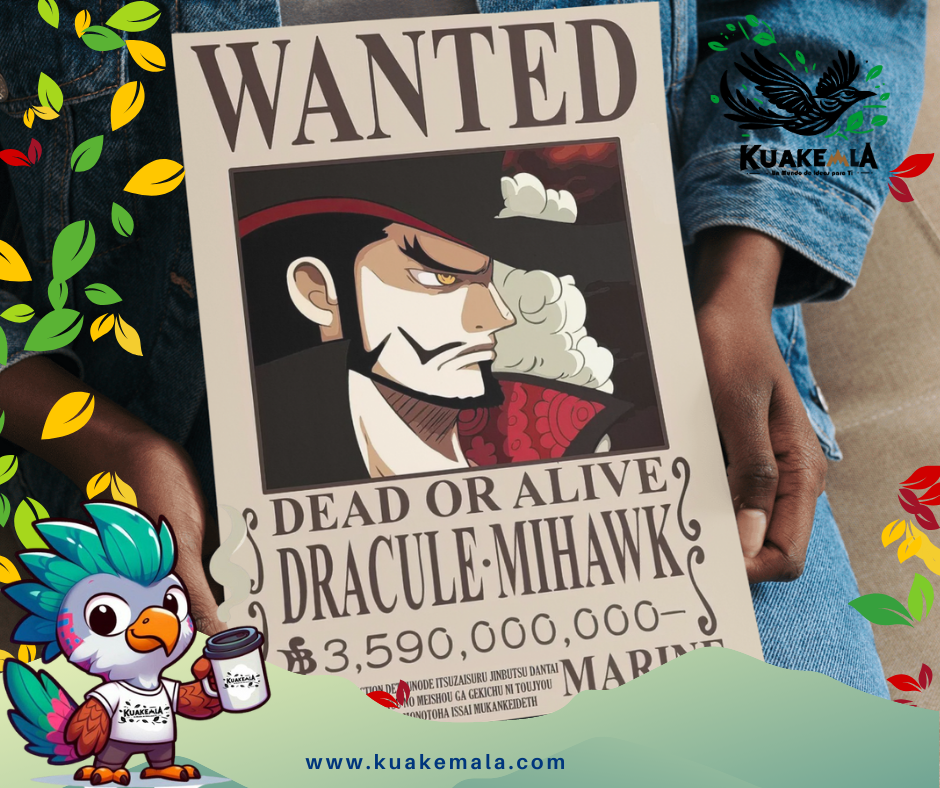 Combo  Posters Metalicos One Peace