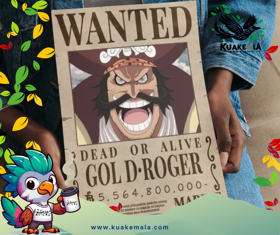 Combo  Posters Metalicos One Peace