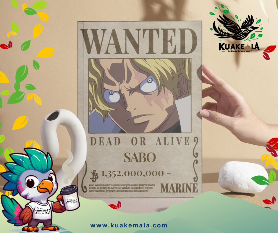 Combo  Posters Metalicos One Peace