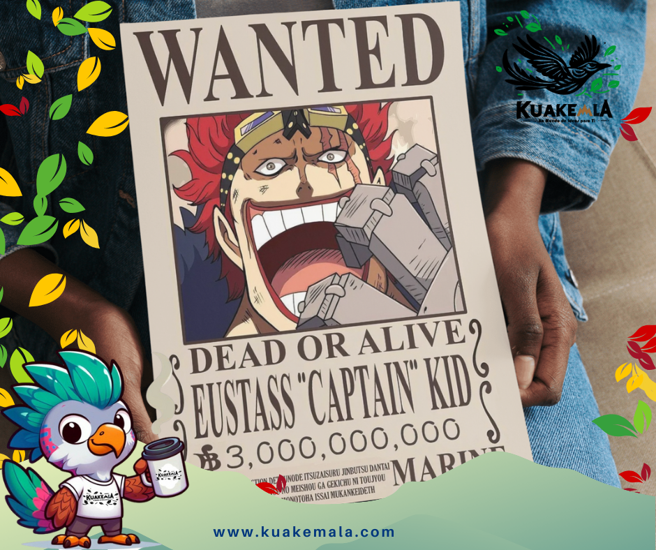 Combo  Posters Metalicos One Peace