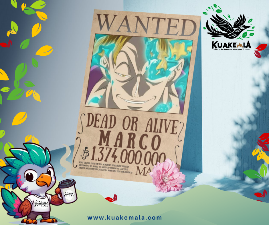 Combo  Posters Metalicos One Peace