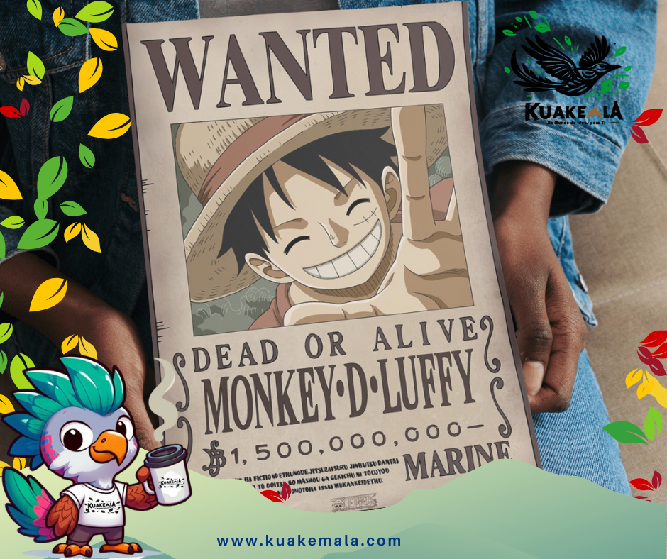 Combo  Posters Metalicos One Peace