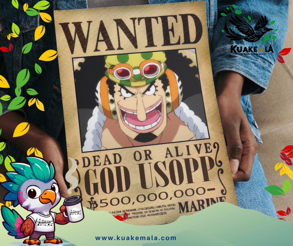 Combo  Posters Metalicos One Peace