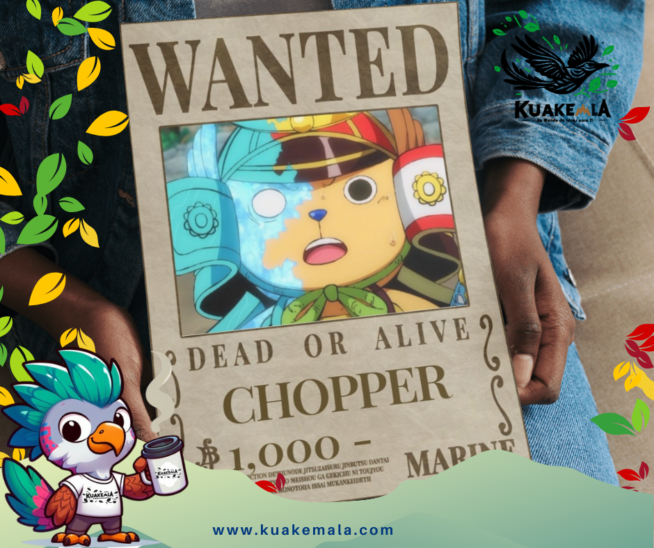 Combo  Posters Metalicos One Peace